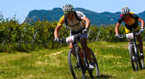 rally-di-romagna-6-jpg