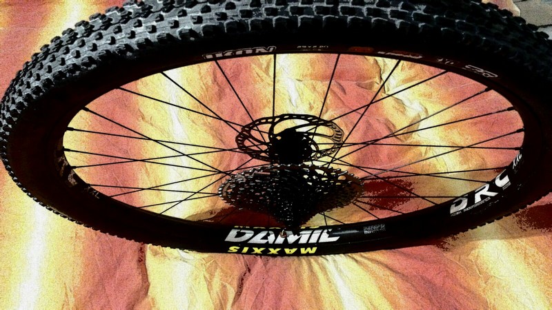 IL TEAM KTM PROTEK DAMA CORRE CON RUOTE DAMIL COMPONENTS - InBici Magazine