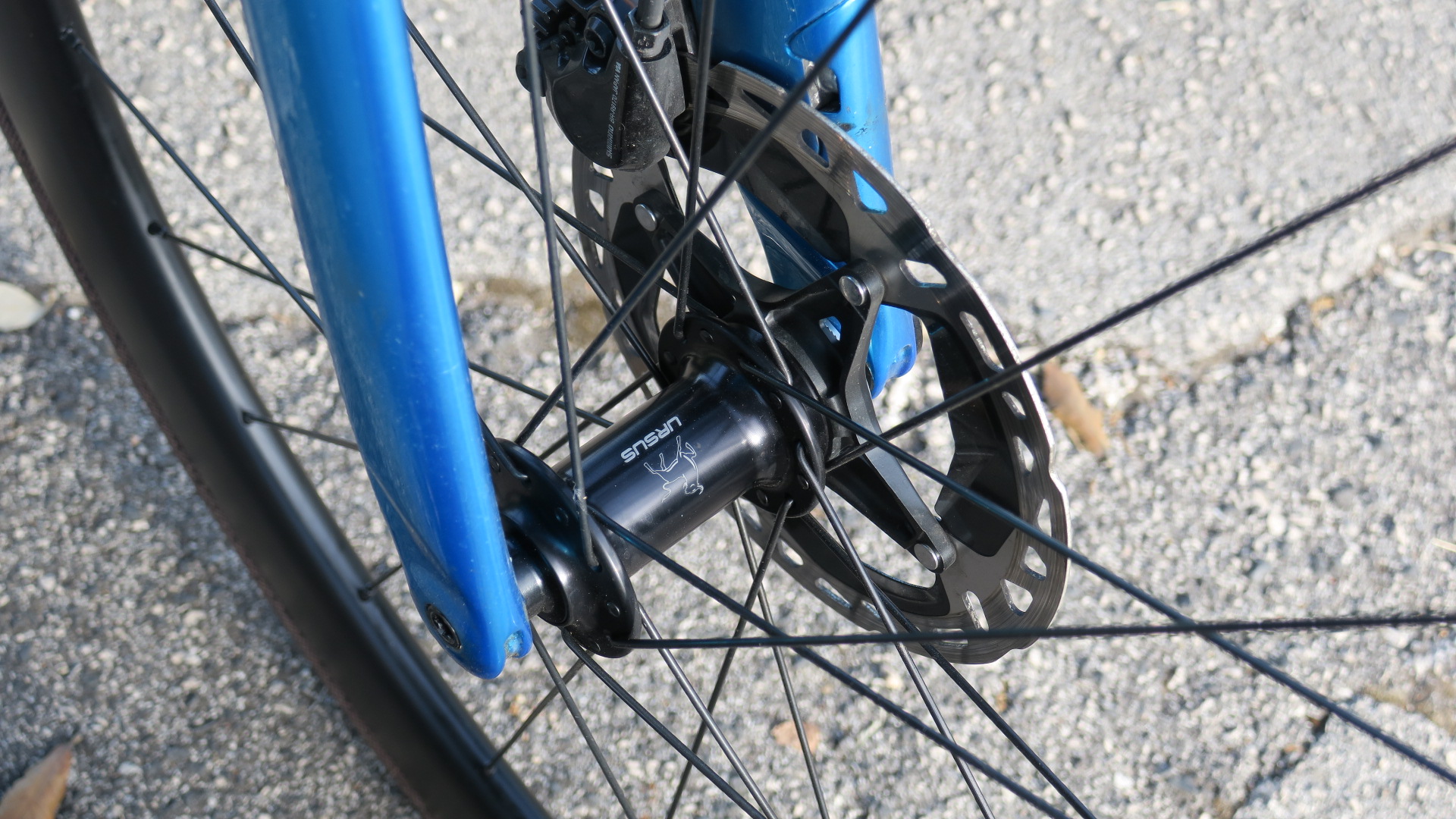 URSUS MIURA C50 DISC, RUOTE RACE IN CARBONIO DAL PREZZO SUPER - InBici  Magazine